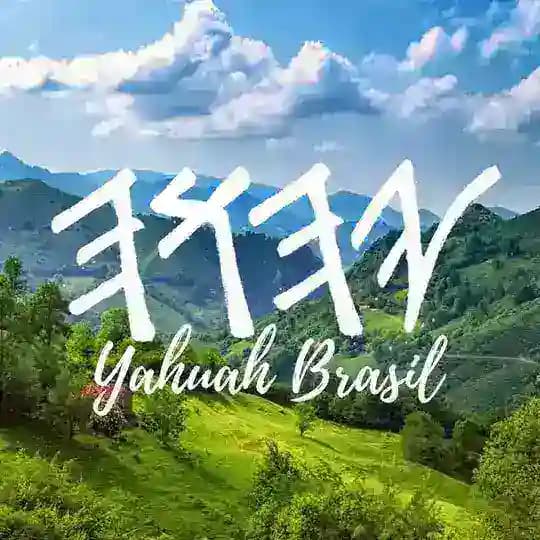 De Volta a Raiz🌿