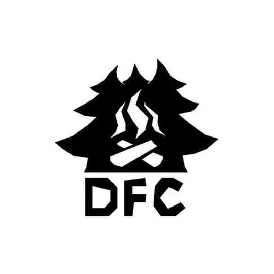 DENSE FOREST CAMP