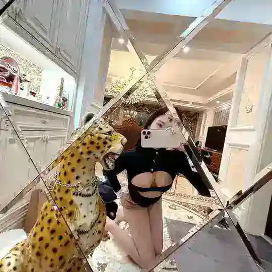 妙人的窝儿
