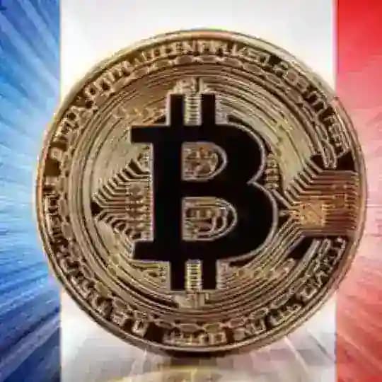 Cryptocurrency Analysis