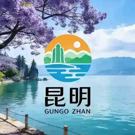云南昆明科技大学报告榜