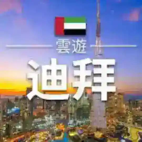 迪拜大事件