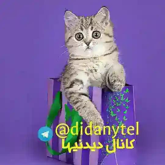دیدنی