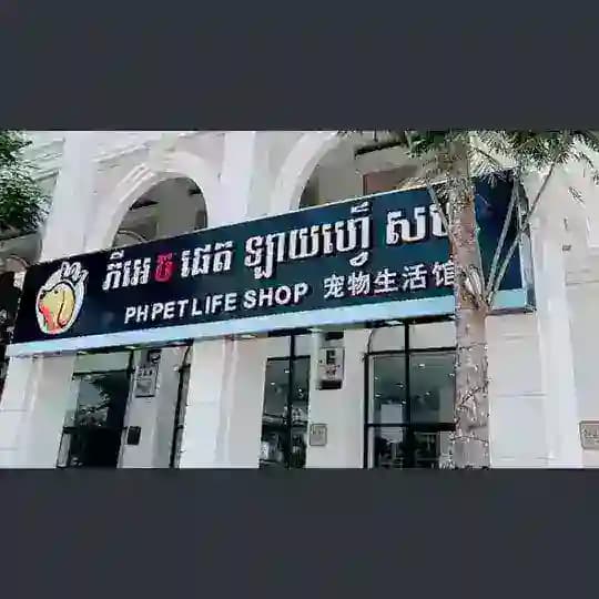 金边迪迪宠物频道