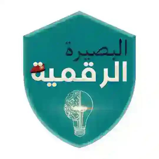 البصيرة الرقمية