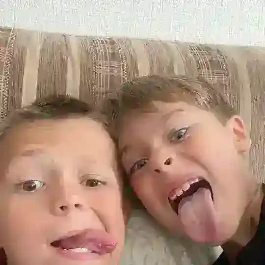 ДИГУСТАТОРЫ