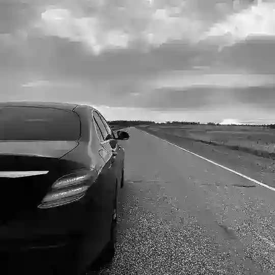 DIM_81