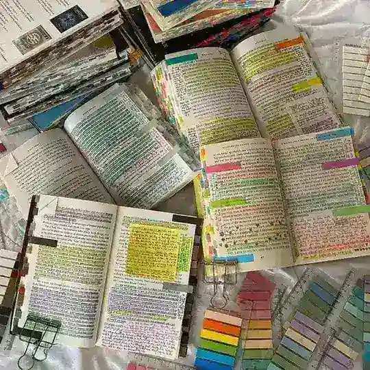 Entre Archivos Y Chismes 💐🐉✨📚