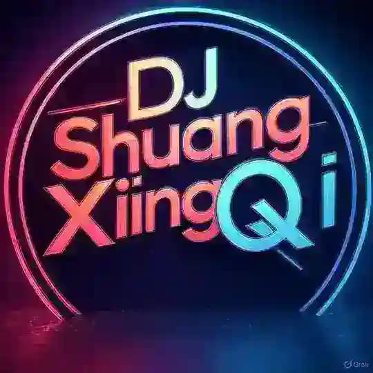 DJ双星七的艺术空间🌪️ Profile