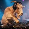 DJ Sker aka Techno Kozel (Скёр) ❤️ official page