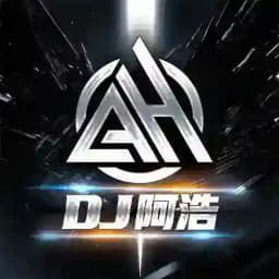 DJ阿浩音乐频道 除@DJAH333 均是骗子 Profile