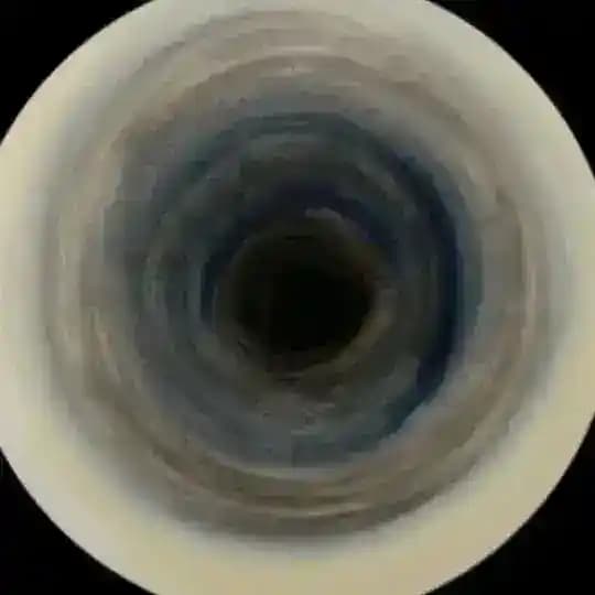 𝑇