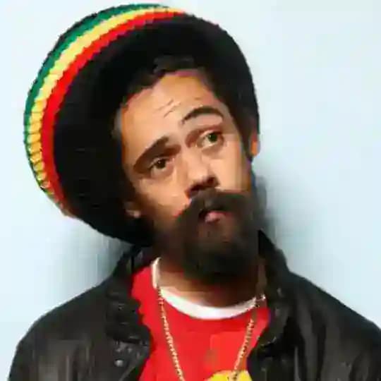 Damian Marley (best)