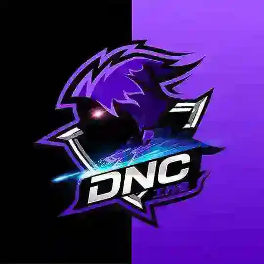 DNC主频道