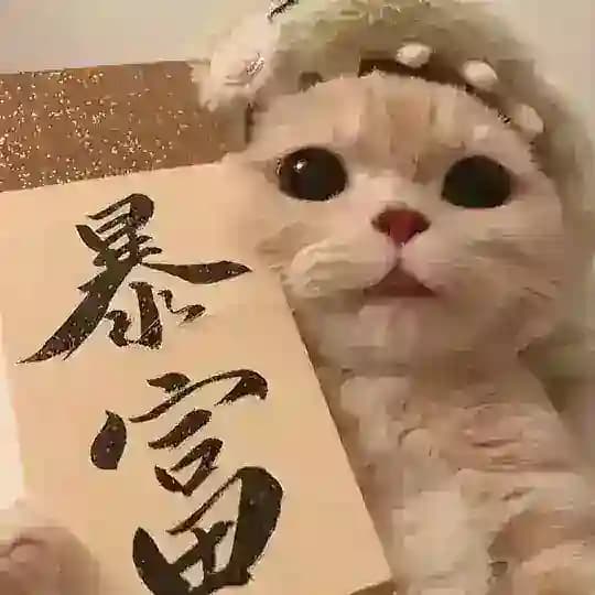 熊猫·供需《灰产赚钱项目》