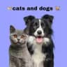 🐈Cats and dogs🐕