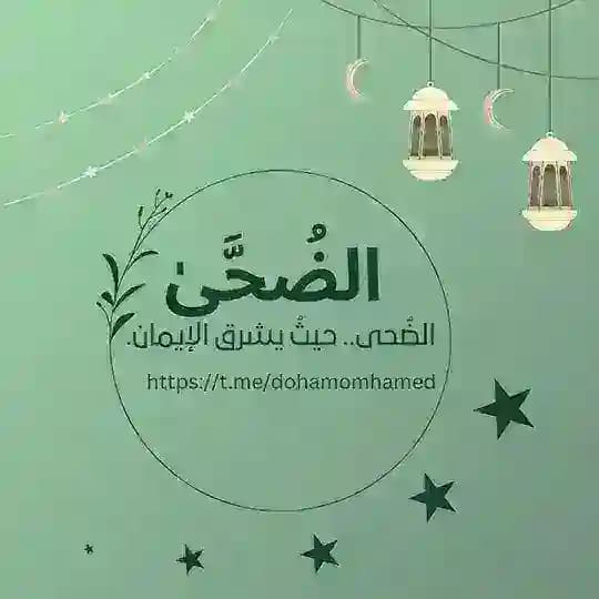 ⤶الـضُـحَـىٰ⊁💚🕊.
