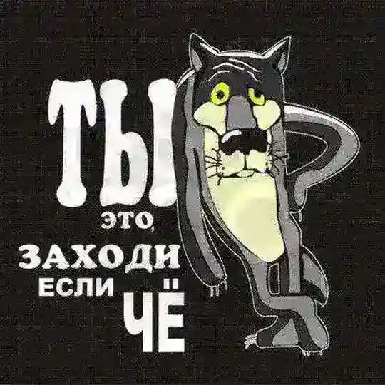ВИДЕО|ПРИКОЛЫ|АНЕКДОТЫ