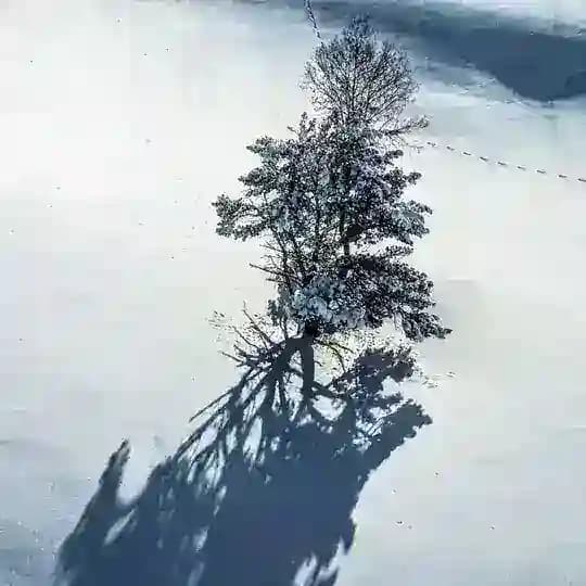 Домбай пикчерс ᨒ
