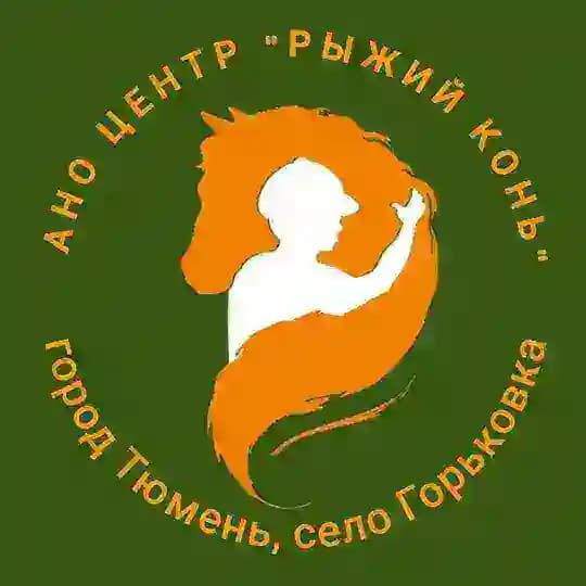 Дом лошадки «Рыжий конь»