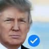 Donald J. Trump News View (official)