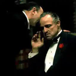 Don Corleone Group 🎾 Profile