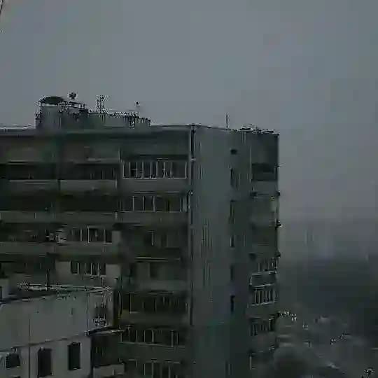 уличная интеллигенция