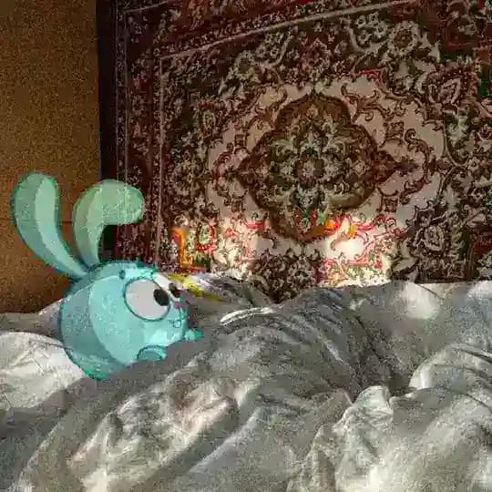 дорога домой