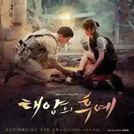 4. Desendant Of The Sun Profile