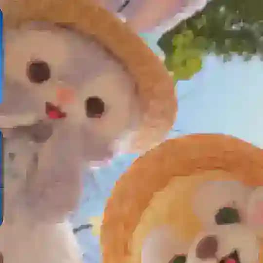 杭州兜兜单开