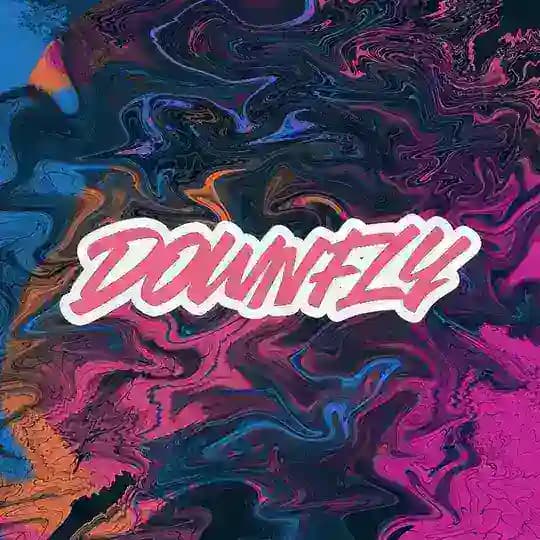 DOWNFLY