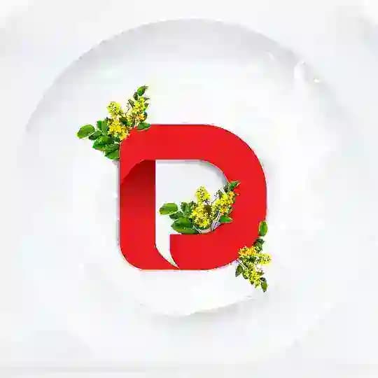 DPM Myanmar Co.,Ltd