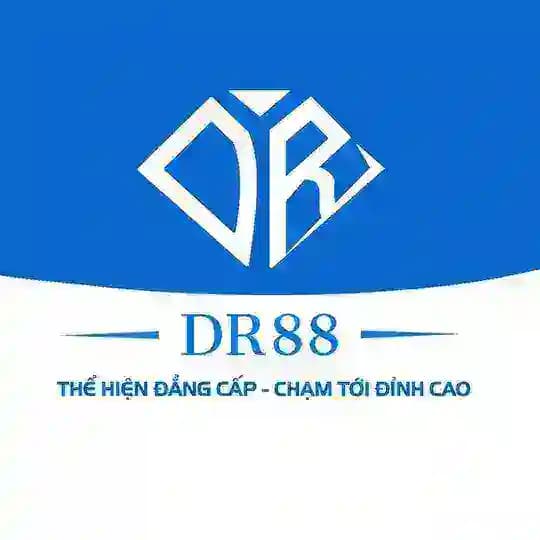 DR88 Profile