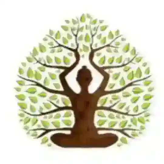 Dr. BioHealing