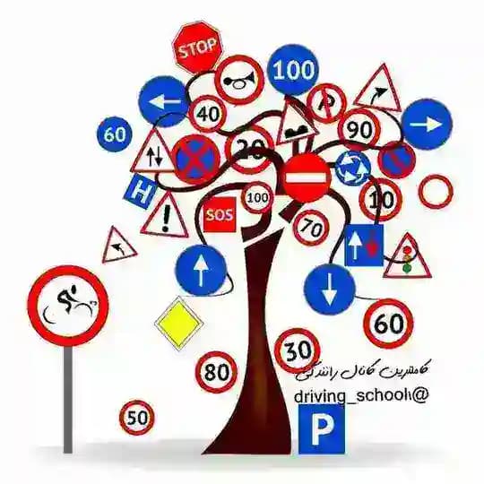 دنیای رانندگی🚘🚦