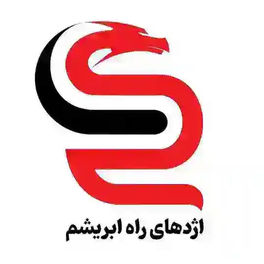 هلدینگ بازرگانی اژدهای راه ابریشم