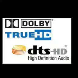 Tamil 5.1 dts Songs Profile