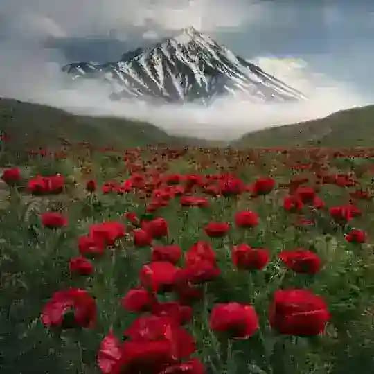 ↪👉چنلی دومانلی داغلار 👈↩