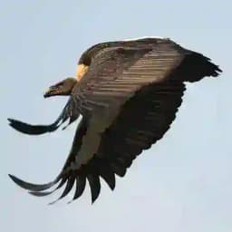 Dünyadan Kareler Profile