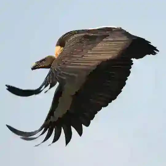 Dünyadan Kareler Profile