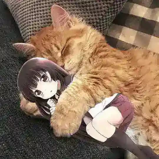 Переход дурка кф