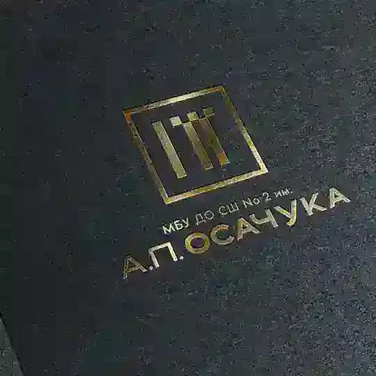 Спортивная школа 2 им. А. П. Осачука