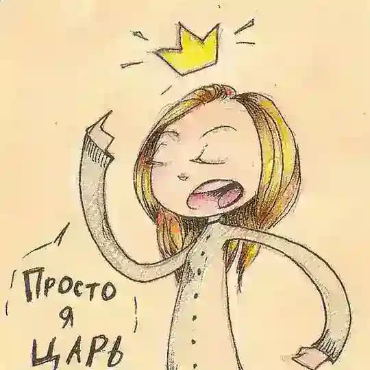 Полка с чаем и капибарами✨