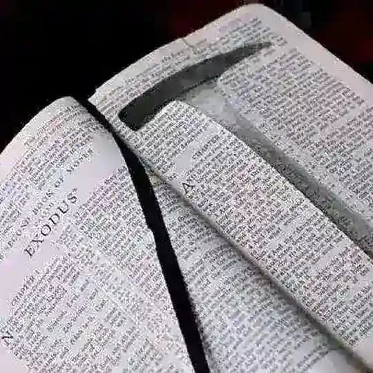 电子书|学习资料|有声书