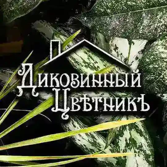Диковинный цвѣтникъ