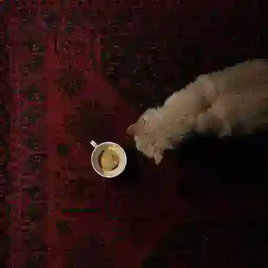 مَــکآتيبَ.