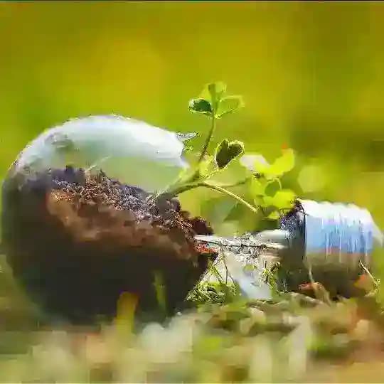 يقين