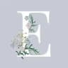 اللغة الانجليزية للمبتدئين - ENGLISH