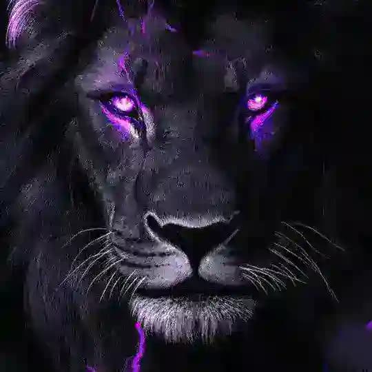 KENYA 🇰🇪 DARK