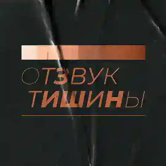 Отзвук Тишины